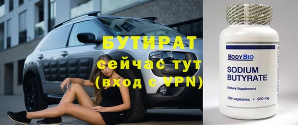 индика Володарск