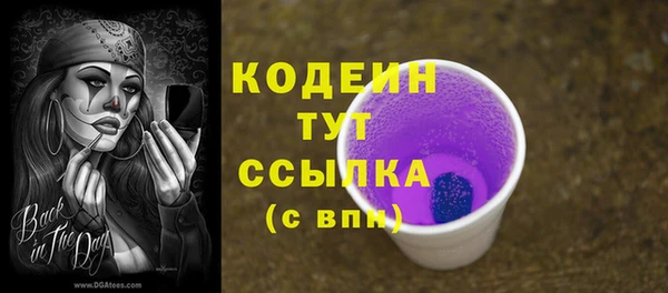 соль ск Верея