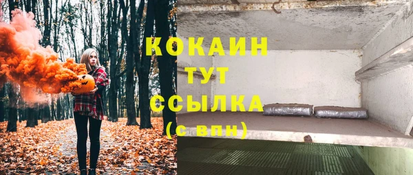 соль ск Верея