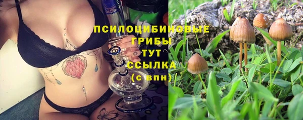 соль ск Верея
