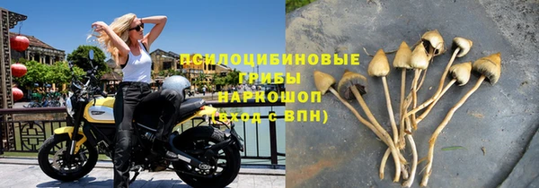 соль ск Верея
