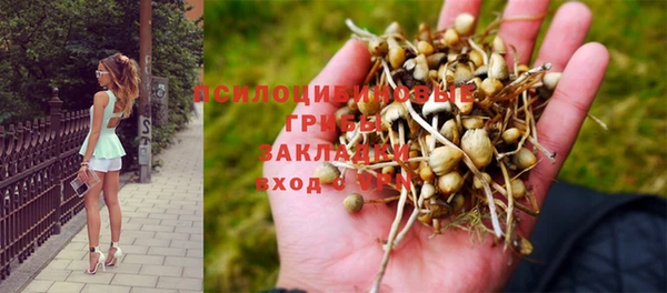 соль ск Верея